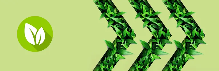Nuestros productos Eco-responsables